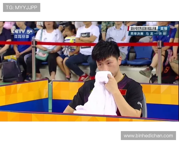 足球比赛直播马龙精彩瞬间回顾与战术分析全景呈现