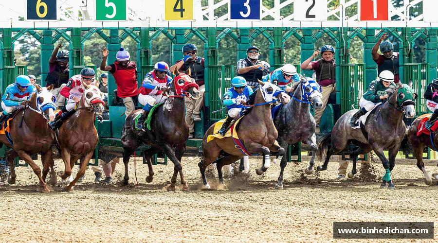 k1体育网址专业品质，打造精彩！